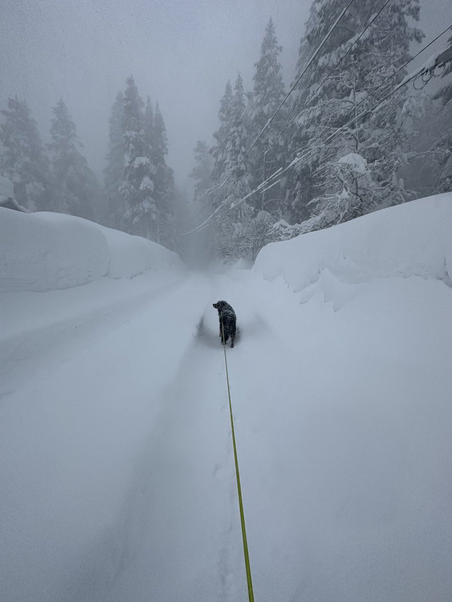 Power’s on though…
Please give us some time to dig out here in Mammoth. There are no alternate routes. #CAwx