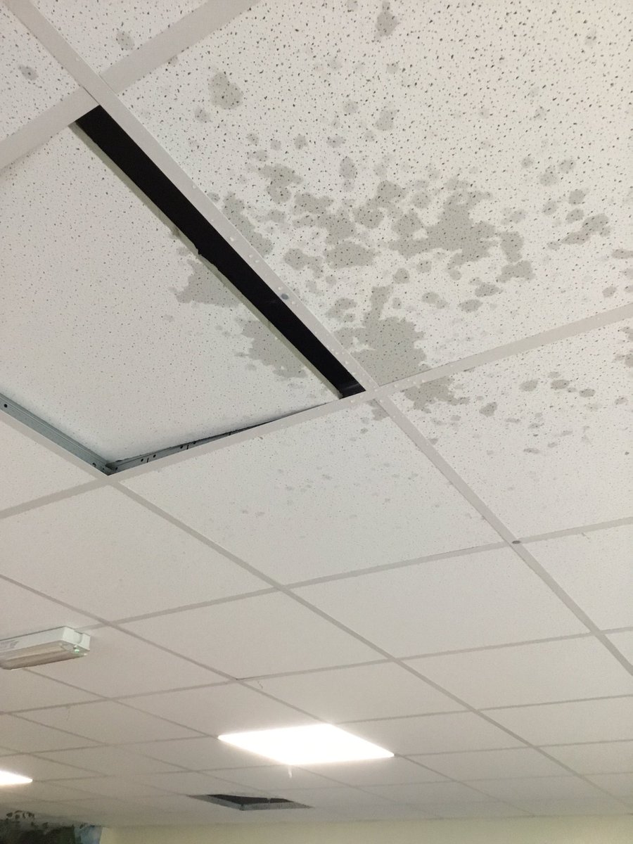 DeltaWillowsAc's tweet photo. Year 3 were incredibly shocked to discover the classroom had flooded during playtime! Everything was completely soaked! They investigated how this happened and reported back to the rest of the school! #talkforwriting #creativehook https://t.co/t6AtxL4X5i