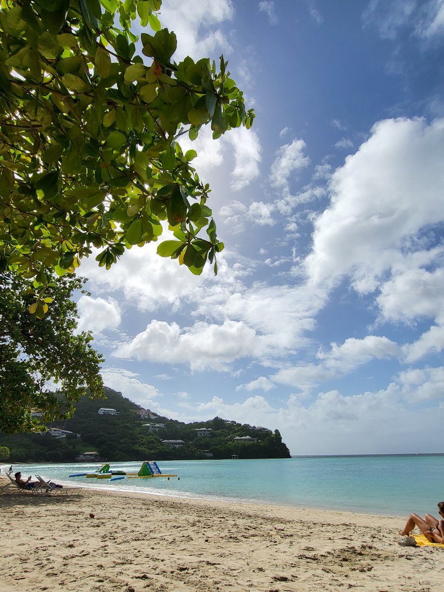 🌎Andrea🌍 tweet media