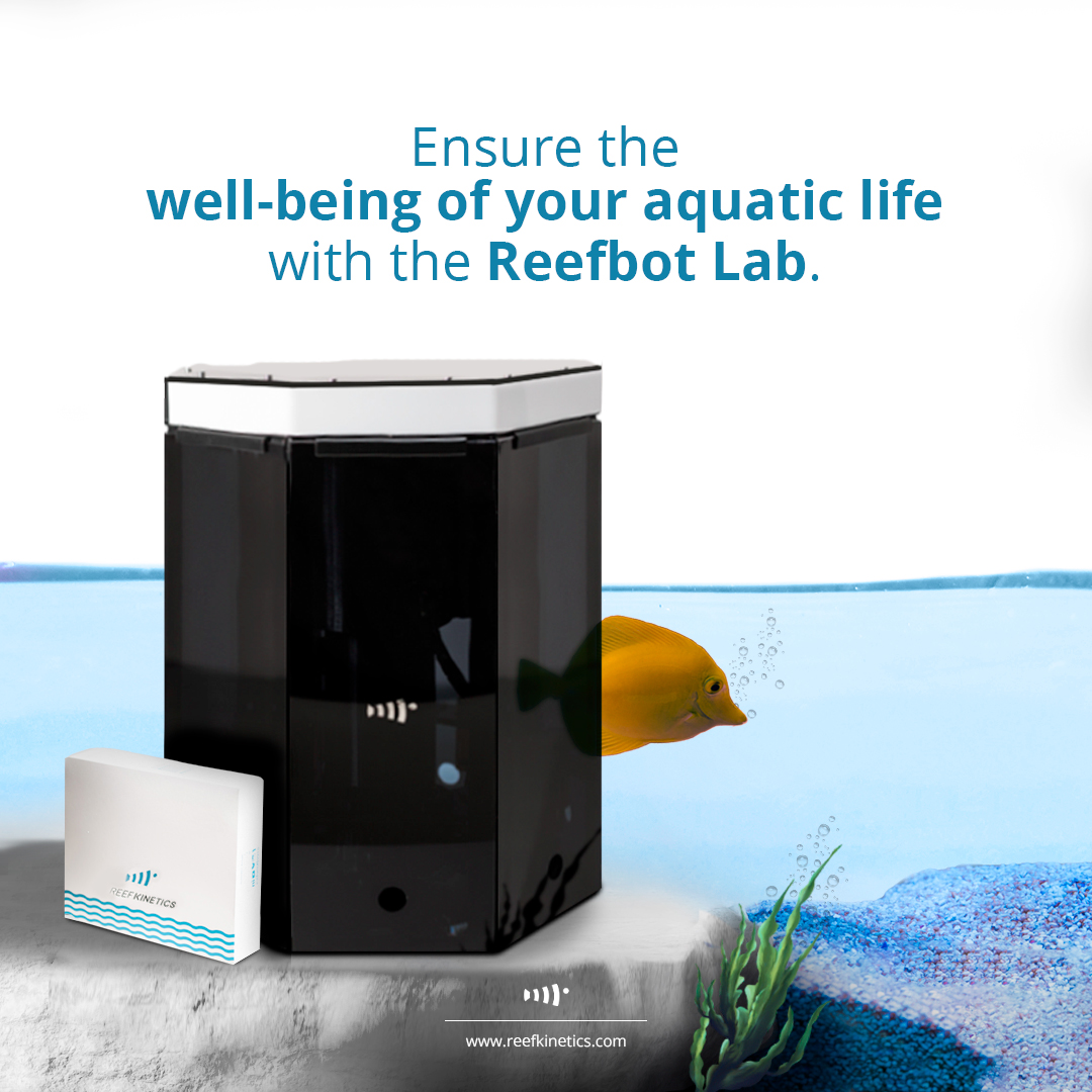 Reef Kinetics tweet media