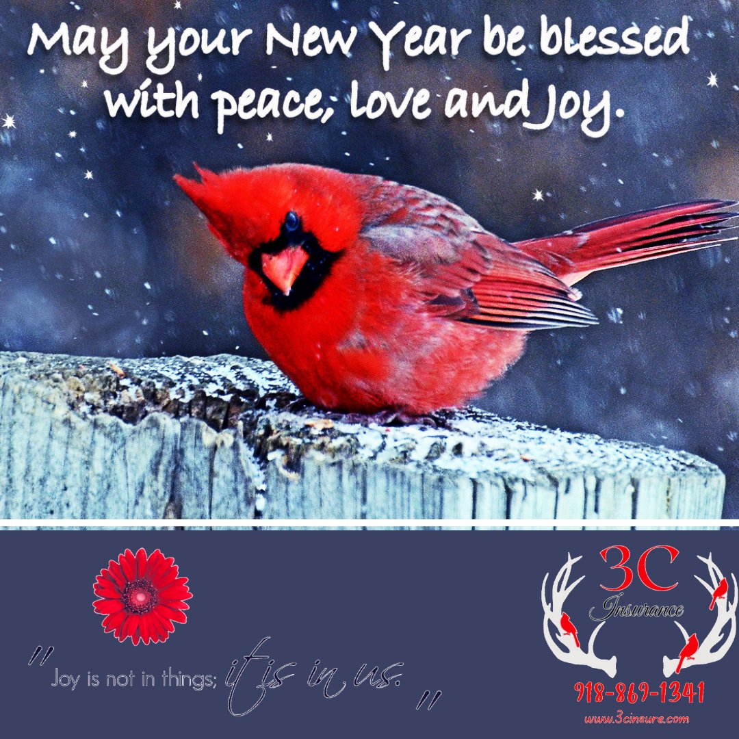 3cInsurance's tweet image. 