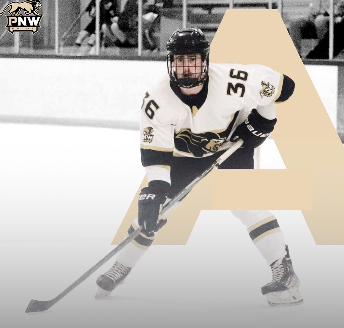 Congratulations to our newest assistant captain Carter Hobbs!