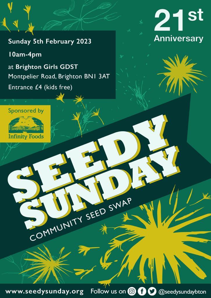 SeedySunday Brighton tweet media