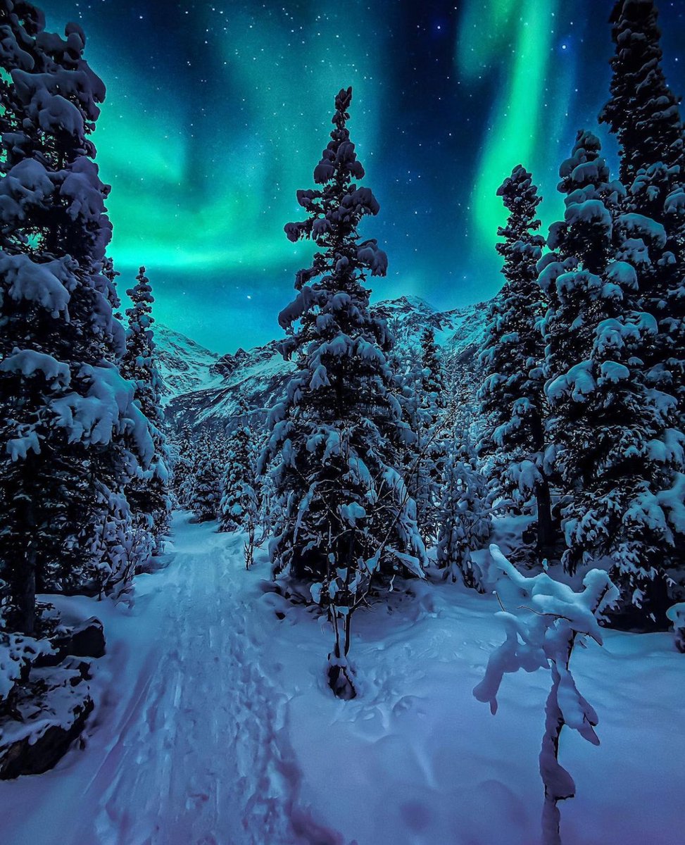 Alaska.org (@alaskatravel) on Twitter photo Looking for some helpful Aurora Viewing Tips? Check the aurora forecast, the weather, and most important - stay up late! Check out the link below to learn more!
📸by <a href="/alaska__jack/">Jack Ouellette</a> #youneedalaska
alaska.org/advice/alaska-… #alaskavacation #tripplanning #alaska #visitalaska Looking for some helpful Aurora Viewing Tips? Check the aurora forecast, the weather, and most important - stay up late! Check out the link below to learn more!
📸by <a href="/alaska__jack/">Jack Ouellette</a> #youneedalaska
alaska.org/advice/alaska-… #alaskavacation #tripplanning #alaska #visitalaska