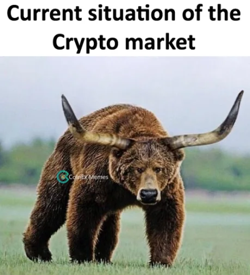 🤣
#nft #NFTCommunity  #SolanaNFT  #Solana #Crypto