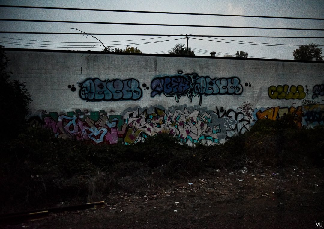 victoriaannurso's tweet image. What beautiful colors 

#nikon #movingtrain