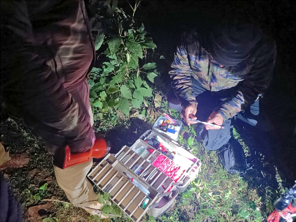 VaibhavSinghIFS's tweet photo. Last night at 11 pm,our team got information about a #Leopard being trapped in a snare wire trap in Kilpura Range of Udham Singh Nagar!After 5 hours of action braving the intense cold &amp; fog, the animal was successfully rescued and released back into the wild by the team!! https://t.co/SxAZrR9gss