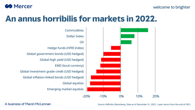 CChenneveau's tweet photo. 2022 was a truly torrid year for financial #markets with few places to hide. A conflict in Europe coupled with high global #inflation and hawkish central banks triggered a simultaneous decline in equity and bond markets for the first time in 150 years. https://t.co/JZ0LHuCWFf https://t.co/4LfqzP6zFZ