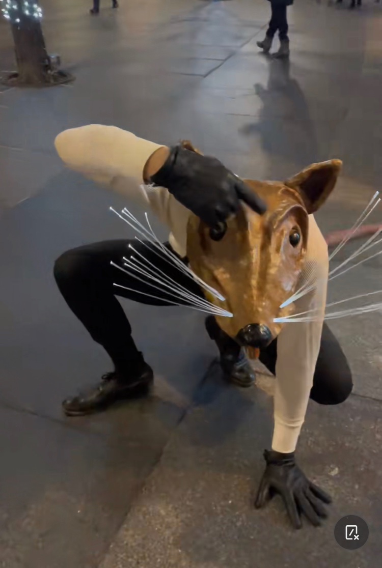 EconClass4's tweet image. Let’s face it we don’t want anyone in our personal area especially this guy (no we will not pet you)