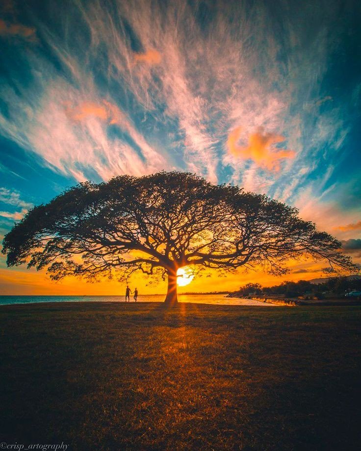 MOTHEREARTH002's tweet photo. Let's plant trees 
Retweet for information to spread
Even the politicians have forgotten about me
Please plant trees am not happy https://t.co/3bDIb9C9q9