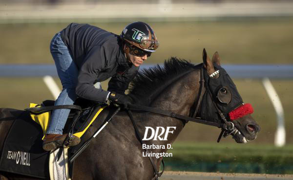 Daily Racing Form on Twitter: 