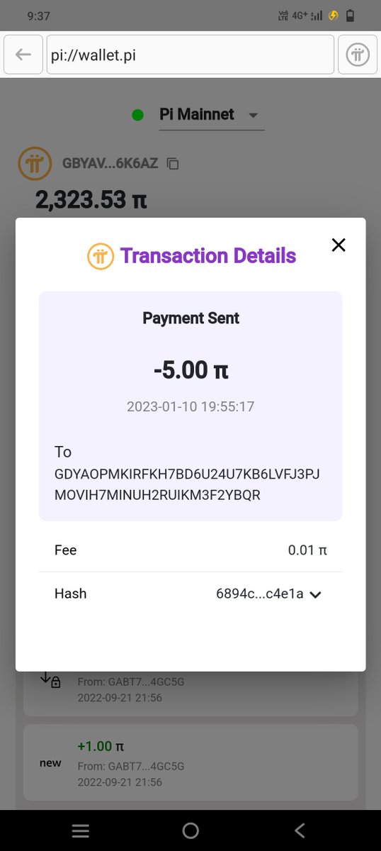 TOKEN DEVELOPER tweet media