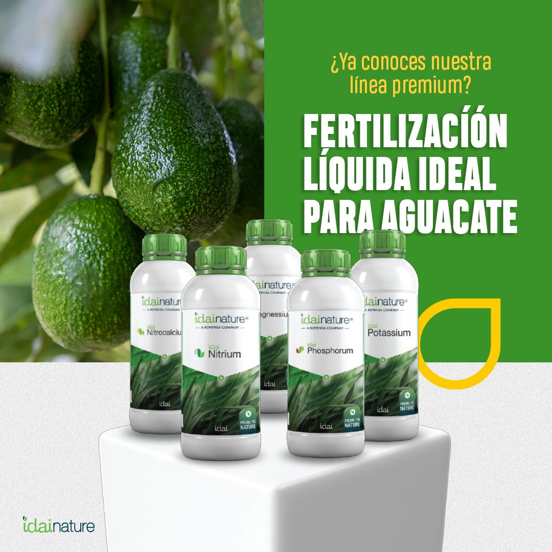 TradecorpMx's tweet photo. La línea Premium de idai nature te garantiza la máxima asimilación y eficiencia en la nutrición de los cultivos 🥑

La tecnología HPC mejora indirectamente la estructura del suelo por lo que habrá pérdidas mínimas de los nutrientes en las aplicaciones.

#tradecorp #agro #cultivo https://t.co/XEzXXFvEK2