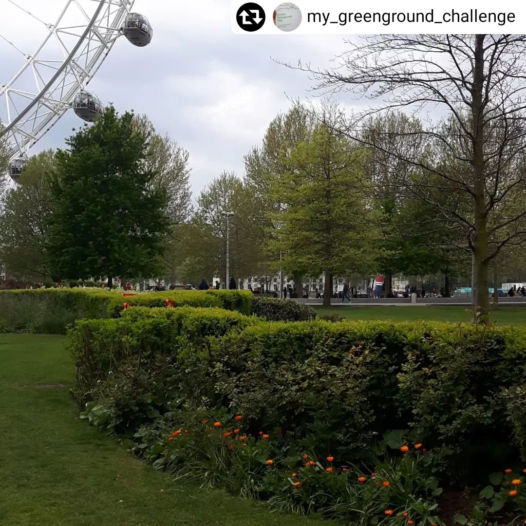 Jubilee_Gardens's tweet photo. Still looking for a #NewYearsResolution to get you outside & exploring? Back in 2021 @my-greenground_challenge (Insta) set themselves the challenge to visit all 800 green spaces featured on the London #GreengroundMap - a great way to discover lesser-known corners of the capital! https://t.co/SmiEepMbiW