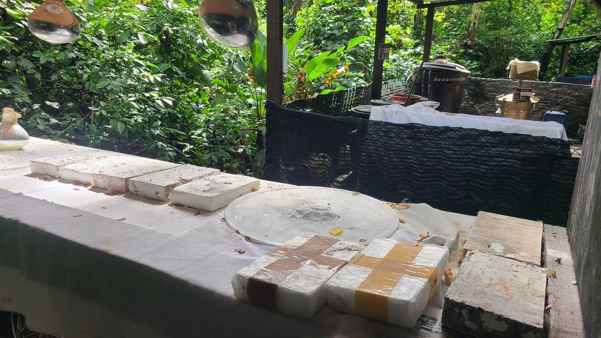 Metódica tweet media