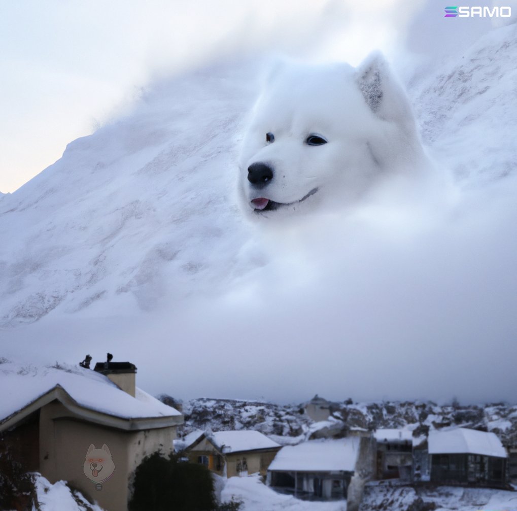 samoyedcoin's tweet photo. how many times i gotta tell ya???????

#SAMOISCOMING https://t.co/NAF2rSg7J7