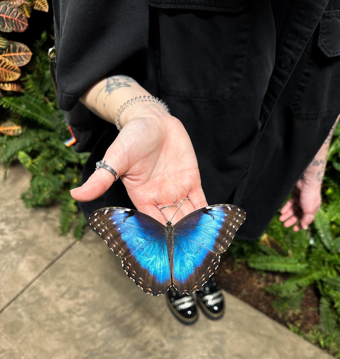 𝔎𝔞𝔰𝔭𝔢𝔯 tweet media