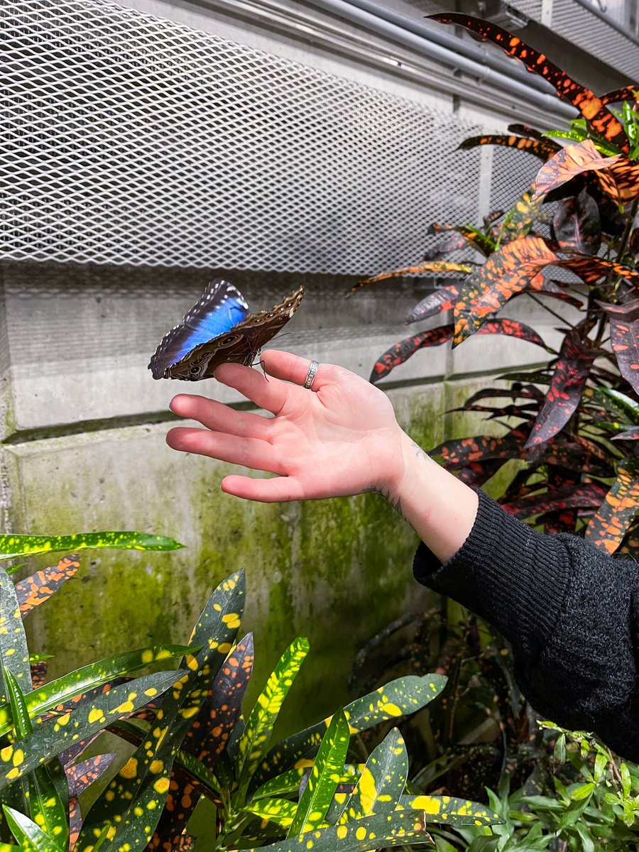 𝔎𝔞𝔰𝔭𝔢𝔯 tweet media