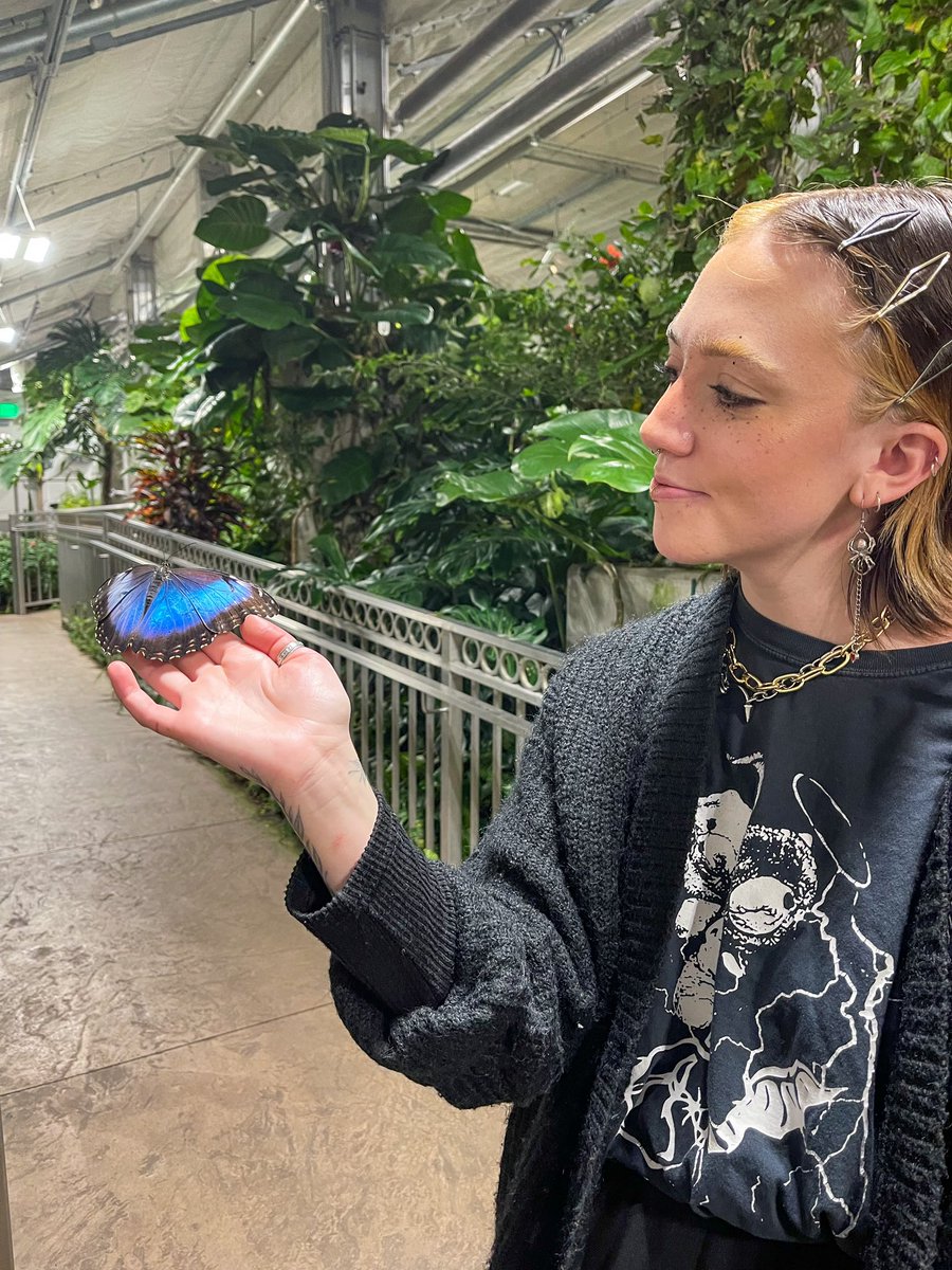 𝔎𝔞𝔰𝔭𝔢𝔯 tweet media