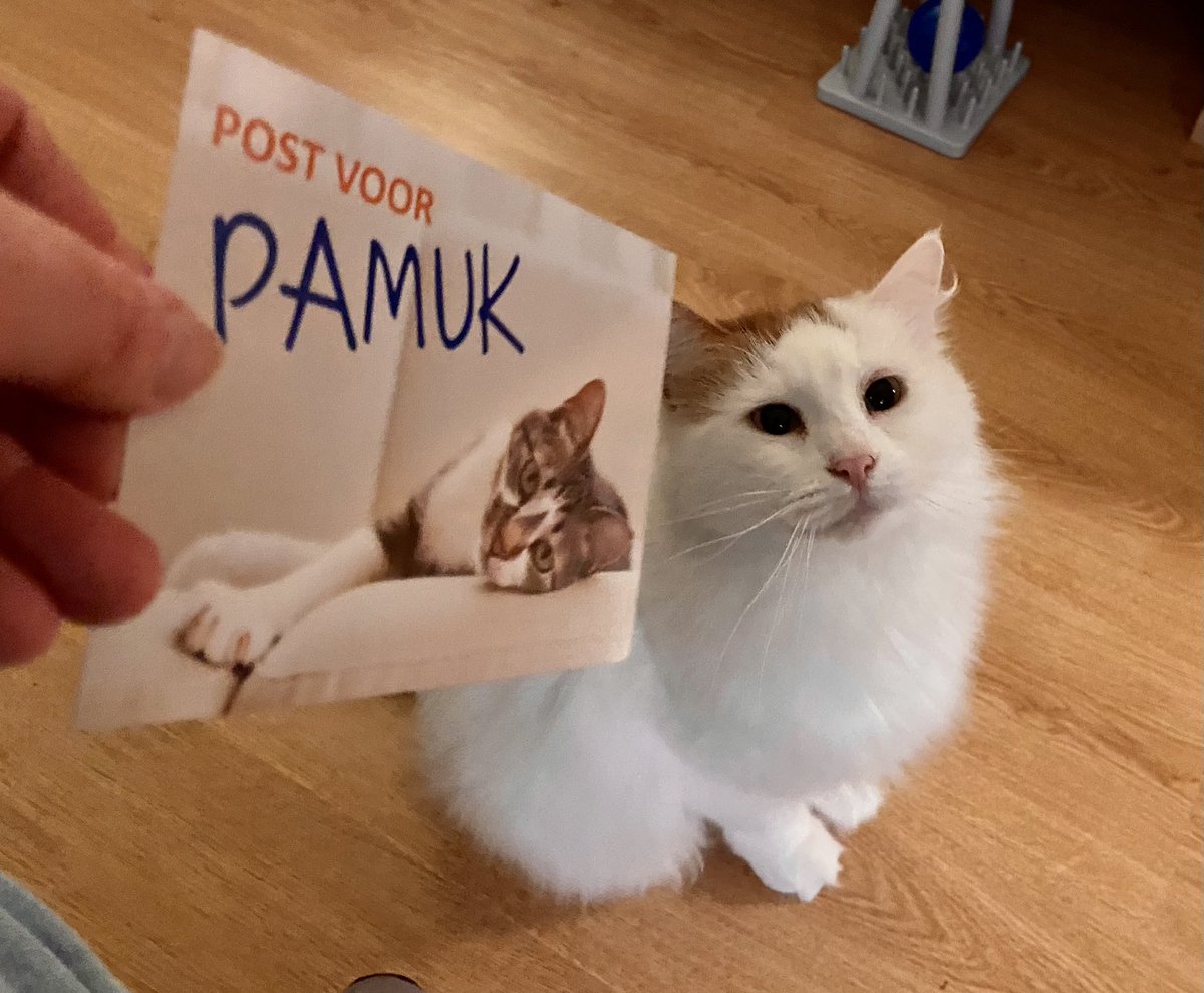 van_pamuk's tweet photo. Dit kan nooit veel goeds betekenen #wittejas #prikken #vervoerkooitje https://t.co/KloFXiZNWh