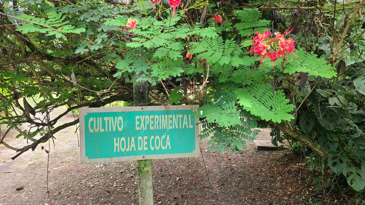 Metódica tweet media