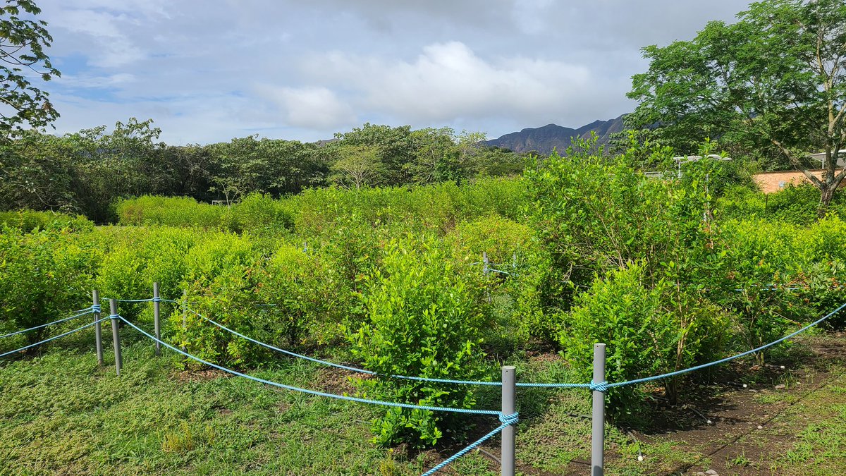 Metódica tweet media