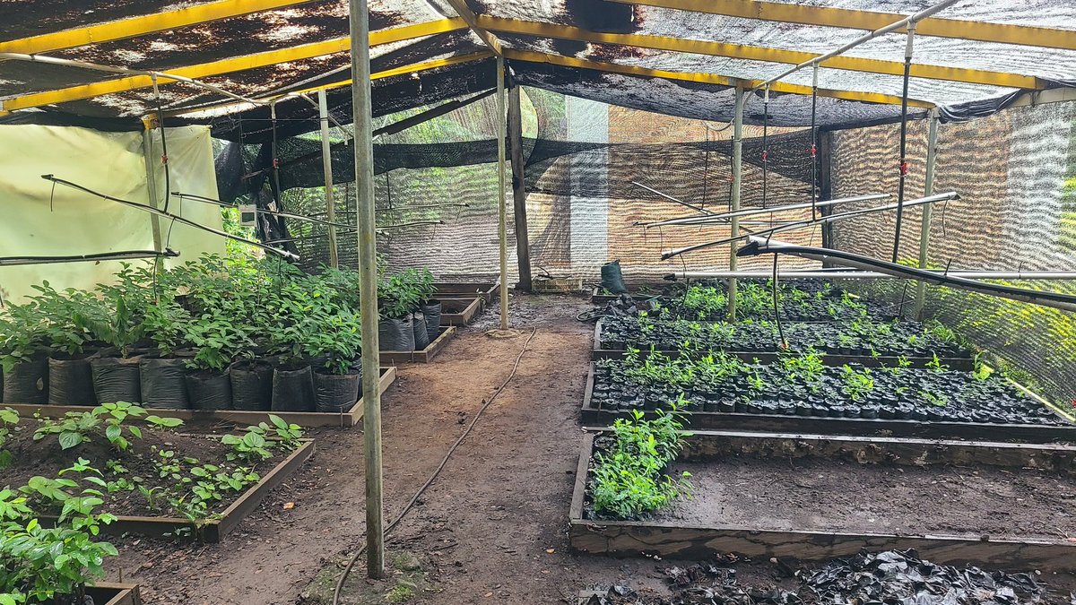 Metódica tweet media