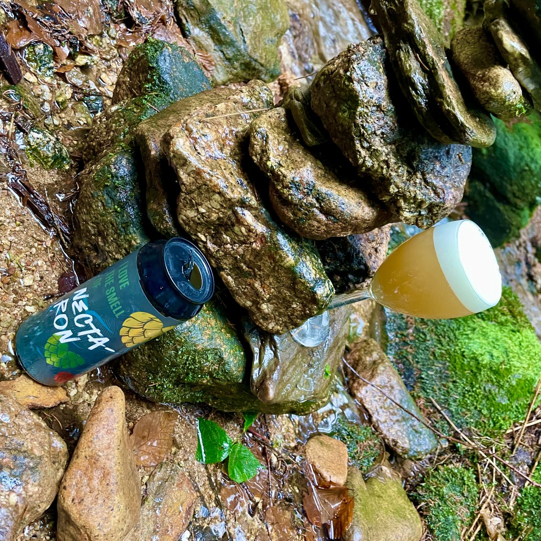 SibeeriaCZ's tweet image. Sibeeria 𝐈 𝐋𝐨𝐯𝐞 𝐓𝐡𝐞 𝐒𝐦𝐞𝐥𝐥 𝐎𝐟 𝐍𝐄𝐂𝐓𝐀𝐑𝐎𝐍 𝐈𝐧 𝐓𝐡𝐞 𝐌𝐨𝐫𝐧𝐢𝐧𝐠 💛💚❤️
Single Hop NEIPA, 18° Plato, 7% Alk.

Pivo chmelené odrůdou #Nectaron, vycházející hvězdou od národního výzkumného institutu @plantandfood na Novém Zélandu.

🛒 sibeeria.cz