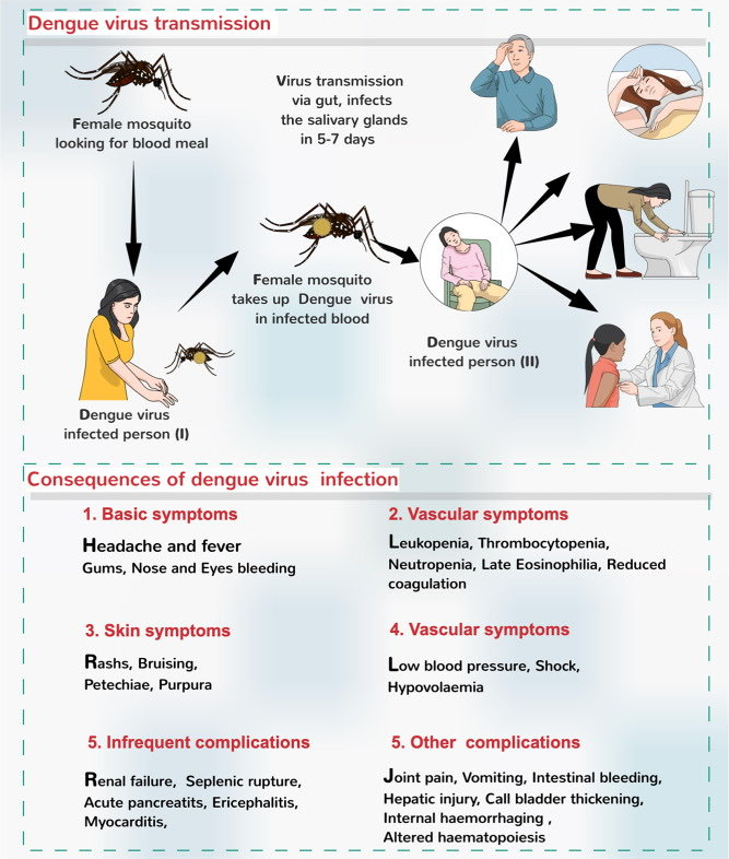 Alejandro Toro Pedroza on Twitter "Dengue fever viral disease