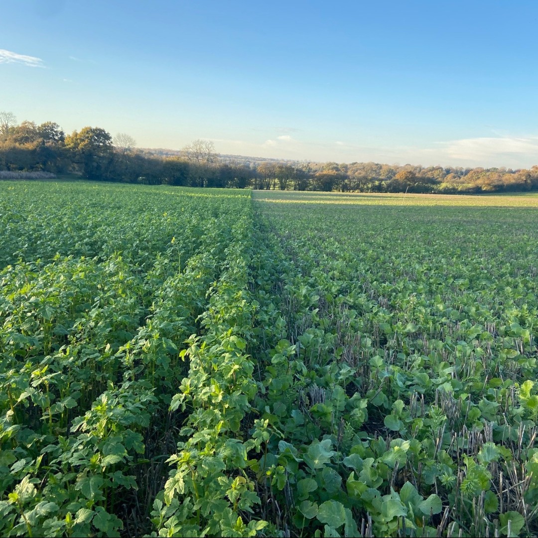 sewateruk tweet picture
