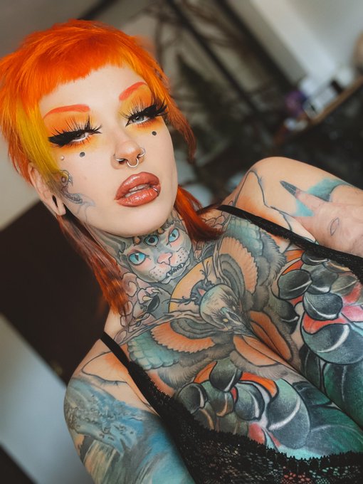 Micky Bottenberg’s pics and videos