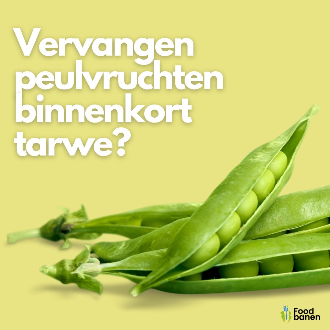 Out-of-the-box denken wat onze voeding betreft: het zal de komende jaren steeds vaker op ons bord komen. Bestaan ons brood en onze patisserie daardoor straks voor een deel uit peulvruchten?

Lees het hele artikel: ow.ly/lyfN50MlljG