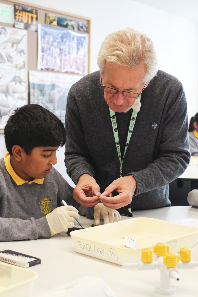EtonPartnership's tweet photo. Our Year 6 Science Afternoons have continued this year with two sessions supporting 80 local pupils. Lynch Hill Hill Primary Academy and St Maryβs CofE School enjoyed getting hands-on with experiments in the three sciences. #primaryschoolscience #etoncollege https://t.co/VeQskjSZz3