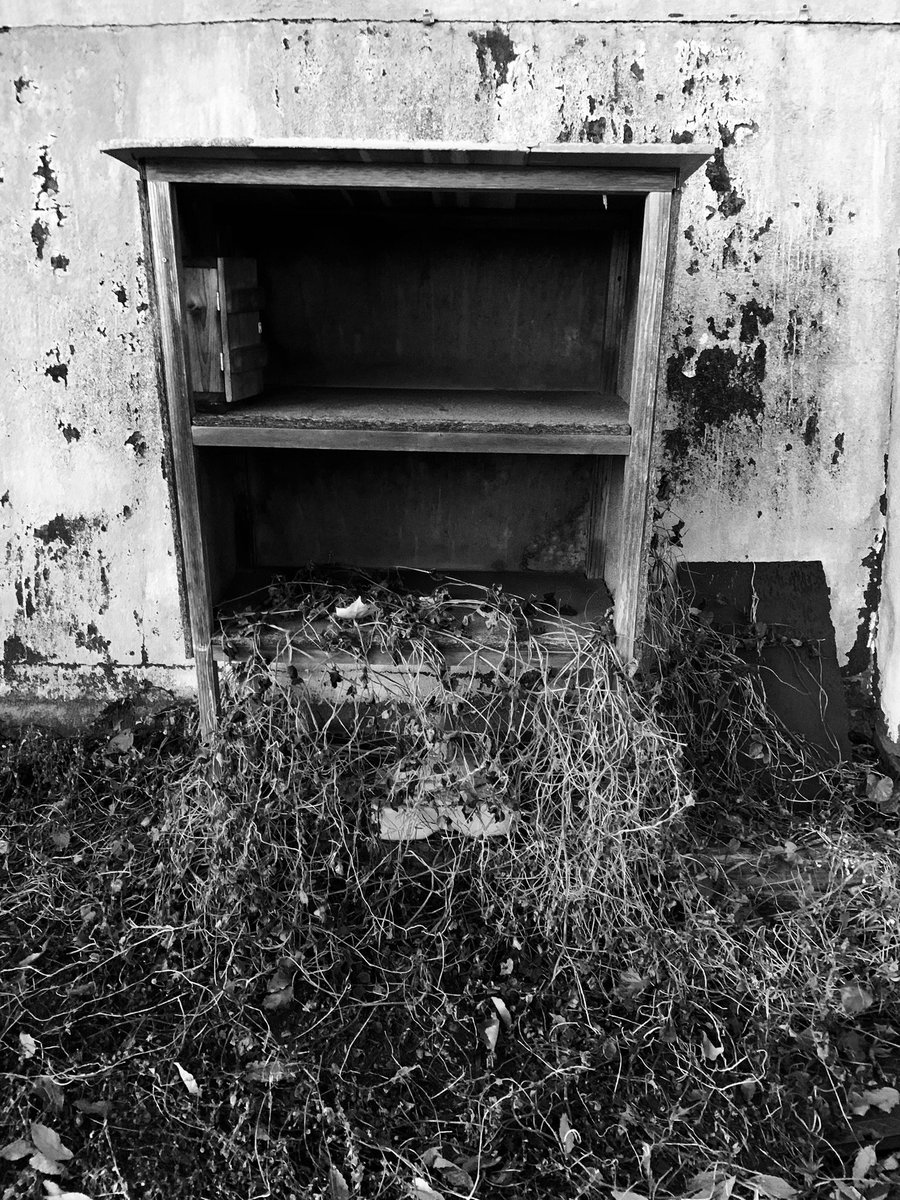 主観的小景高知　
Abandoned honesty box

Everyday scenery of Kochi City Japan, from my point of view.

#Honestybox
#Honorsystem
#Ivy
#廃良心市
#廃無人販売所
#Monochromephotograph
#Blackandgrayphoto