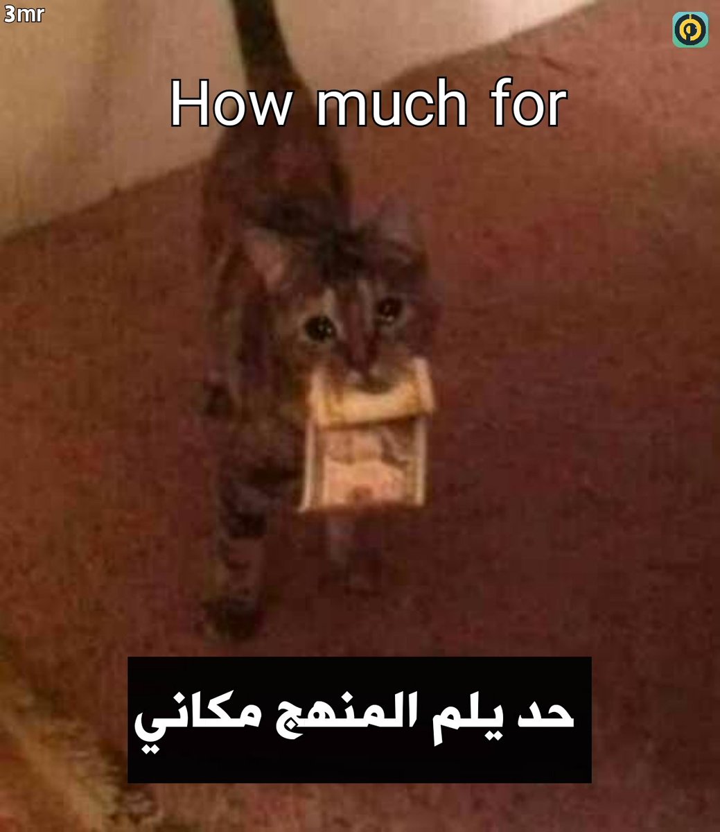 Hazem Alkhamisi ♪♞ (@h_5misi) on Twitter photo 