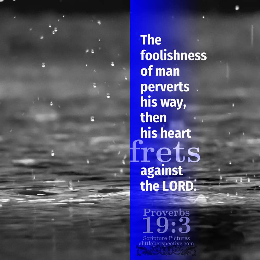 Christine982Mil's tweet image. The foolishness of man perverts his way, then his heart frets against the LORD.

#Proverbs 19:3 #Bible #WisdomBooks #VerseOfTheDay #DailyBread #Scripture #ScripturePictures #ScriptureArt

alittleperspective.com/welcome-to-scr…