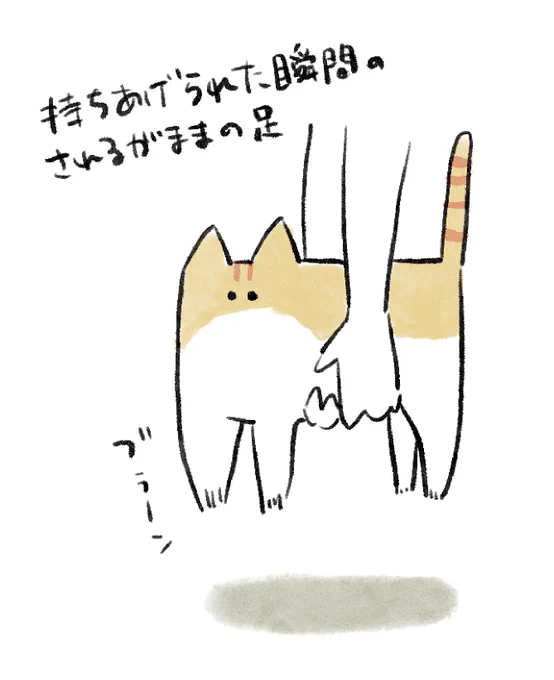 今日の雑日記です。地味に好きな猫の状態 