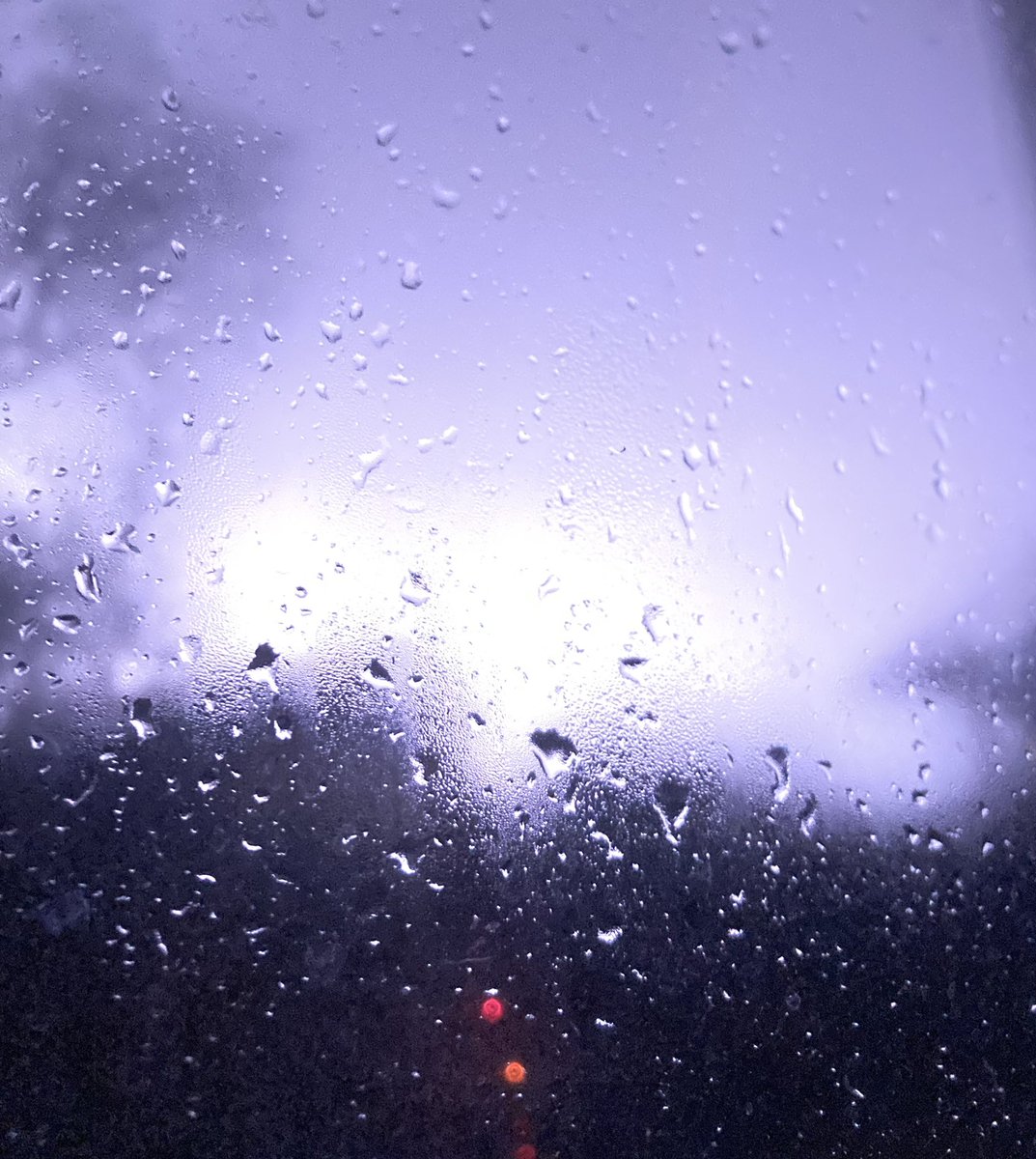 When you wake up to windows rattling and flashes of light. Oh Great Lightning with Thunder. I’m usually scared of them but had to get some pictures safely inside my house. 🤣⛈