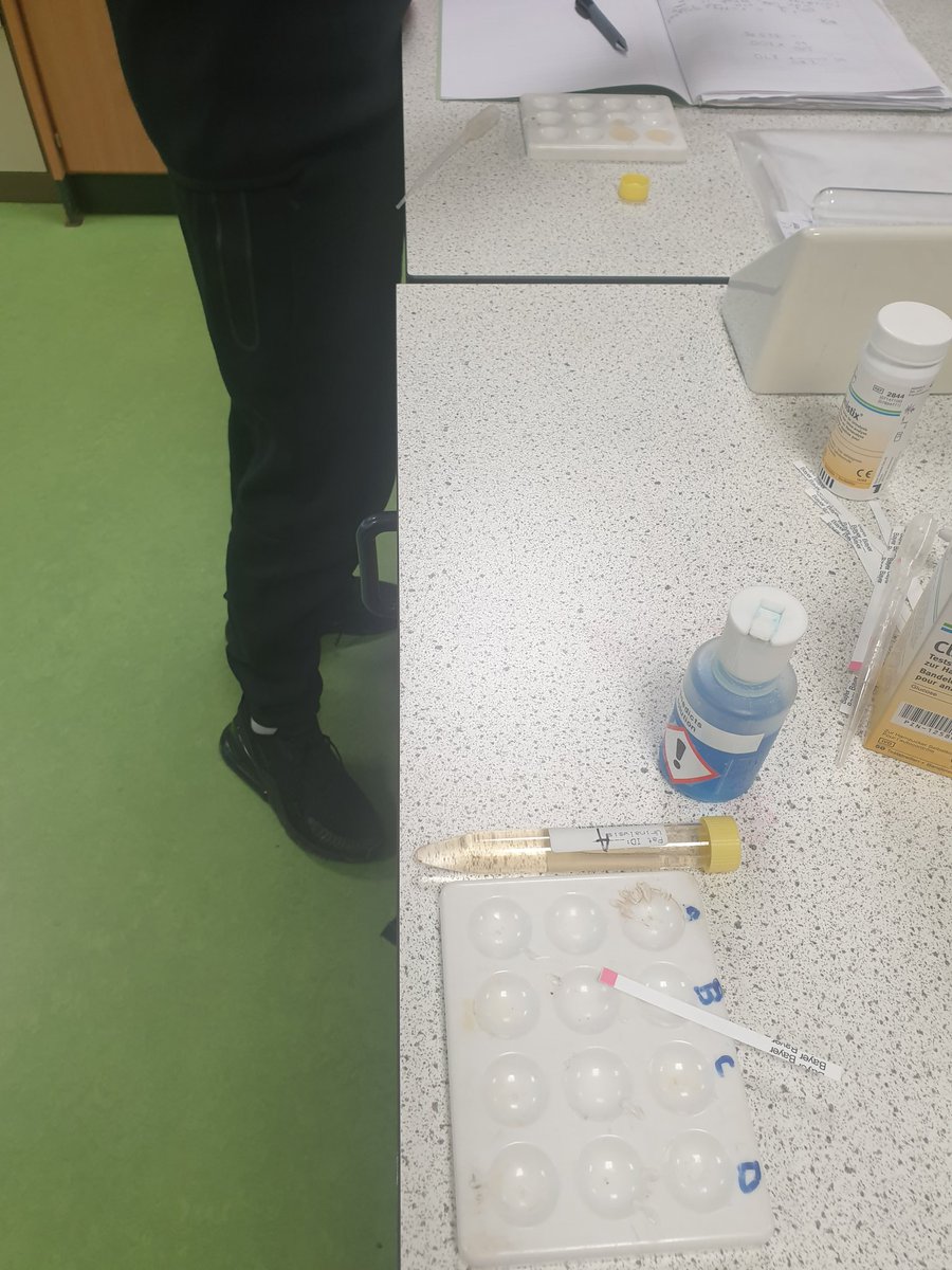 Raising awareness of <a href="/DiabetesUK/">Diabetes UK</a> and learning about glucose regulation at the same time! Our S3's using their list of patient symptoms, "urine" clinistix results and Benedicts to give a diagnosis. 👏👏 #keeplearningrelevant

<a href="/knoxacademy/">Knox Academy</a>