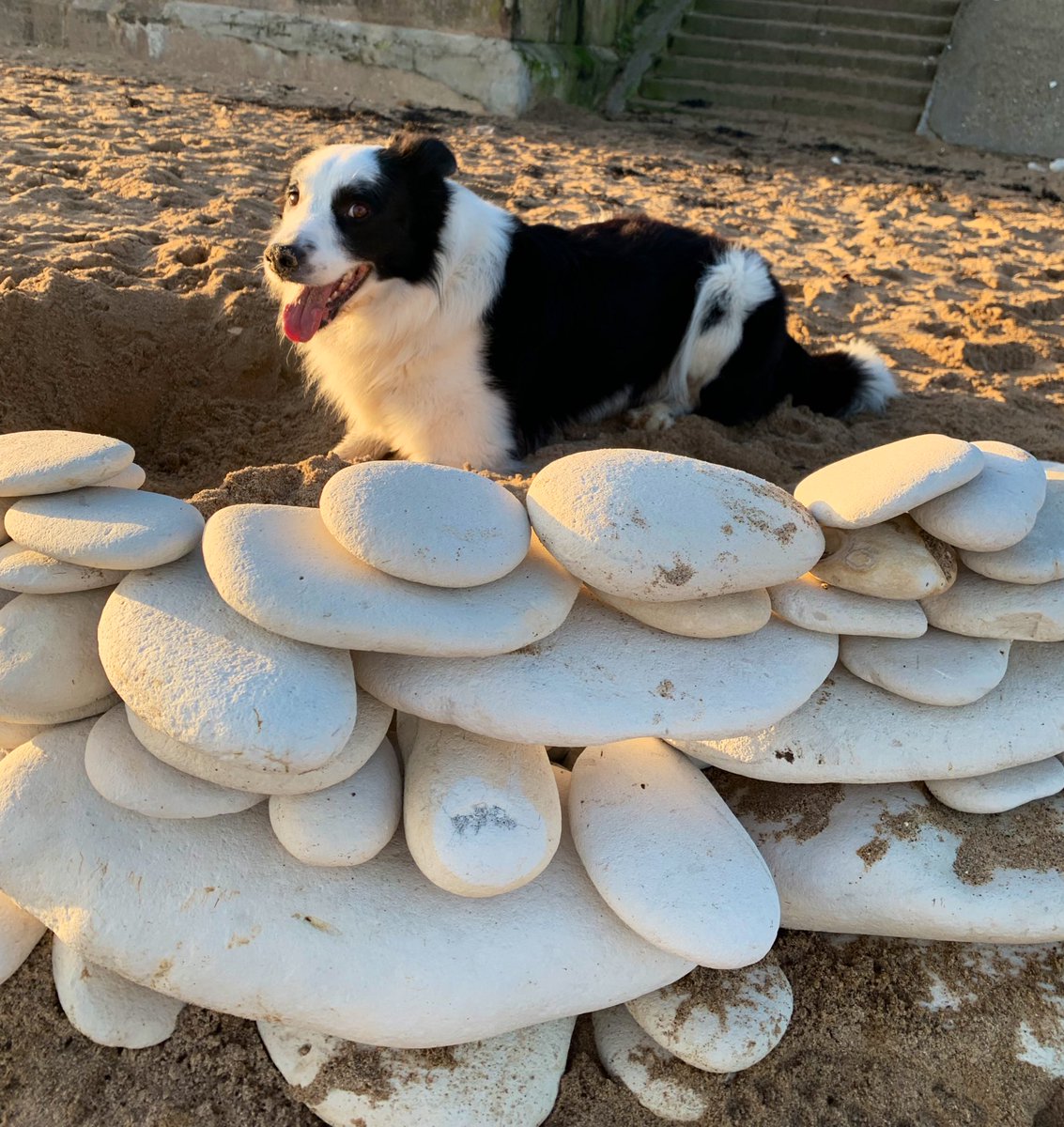 wattelet françois on Twitter "RT richleefletch1 Happy Tuesday and