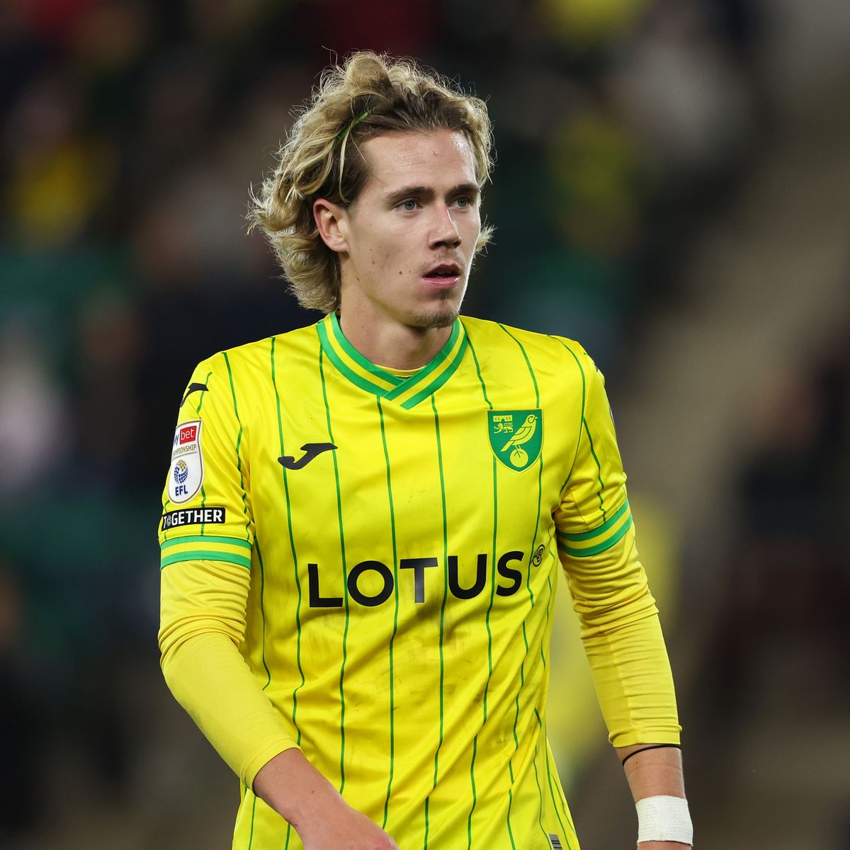 🔰 TheYellows 🔰 tweet media