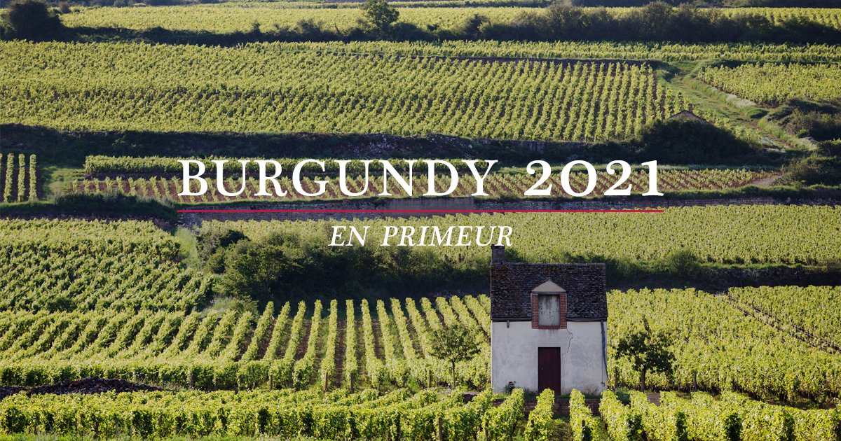 LeaandSandeman's tweet photo. Burgundy En Primeur: Explore the 2021 releases
'A fascinating vintage to examine in detail.' Neal Martin

Our offer is now available: 
https://t.co/c30qJXIFCl

#Burgundy #EnPrimeur #bourgogne #2021vintage #wine #finewine https://t.co/01hIWVanTQ
