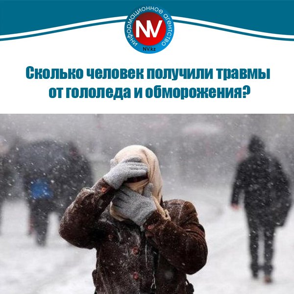 Новый вестник tweet media