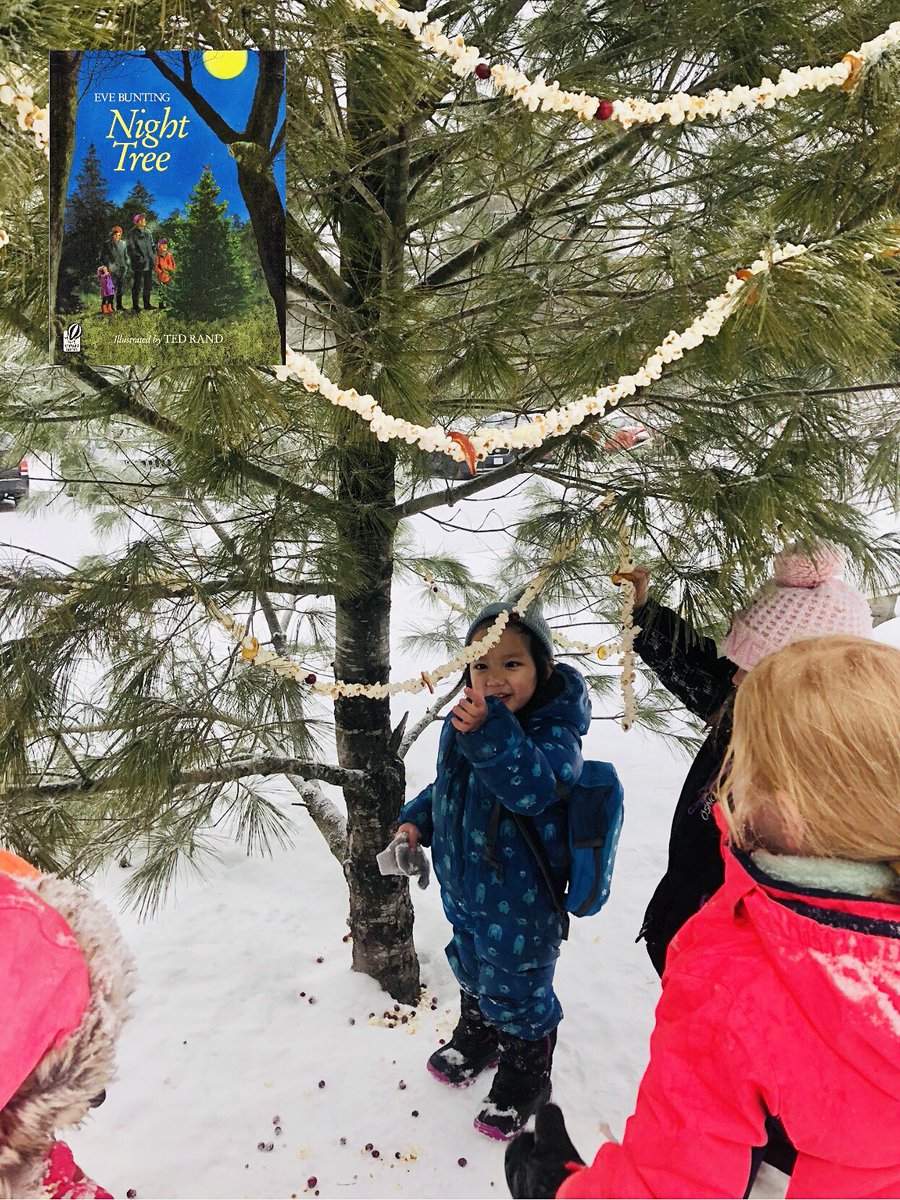 “The Night Tree” by Eve Bunting is a new-to-me fav. After reading we were inspired to decorate our own night tree with popcorn chains, dried oranges, and cranberries as a gift to the animals. We’re very excited to observe our night tree over the next few days. #fdk #tldsblearns