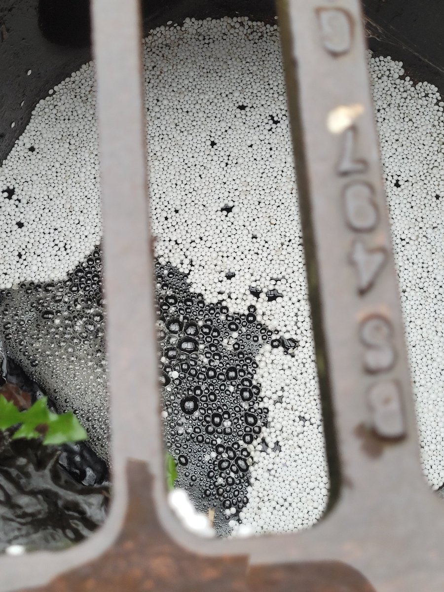 BartonRivercare's tweet photo. There's been some sort of explosion of polystyrene packaging in Barton. Thousands upon thousands of tiny plastic spheres are now getting walked and driven around town and washed down the drains in the heavy rain 😔 https://t.co/32Jzze31zb