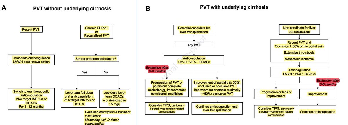Servicio Aparato Digestivo H.G.U. Gregorio Marañón tweet media