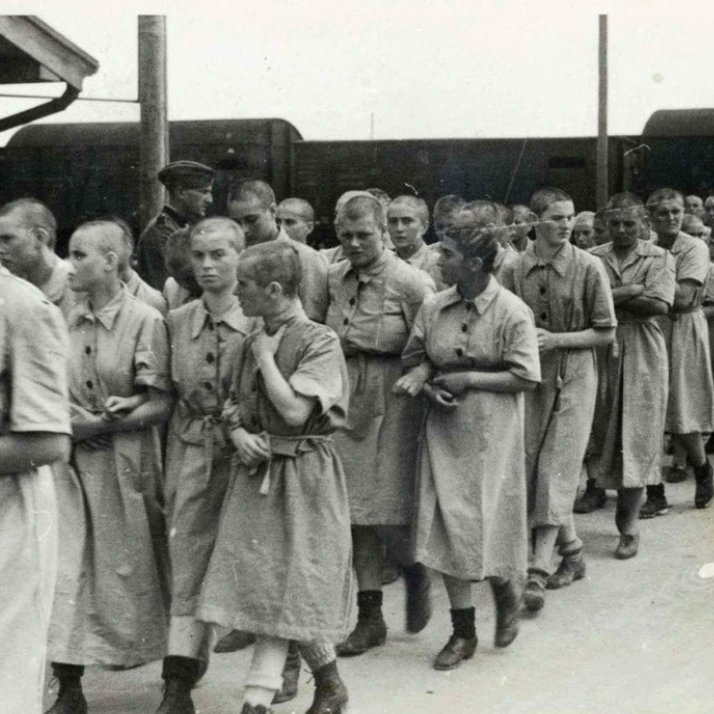 Judeus pela Democracia - Oficial tweet media