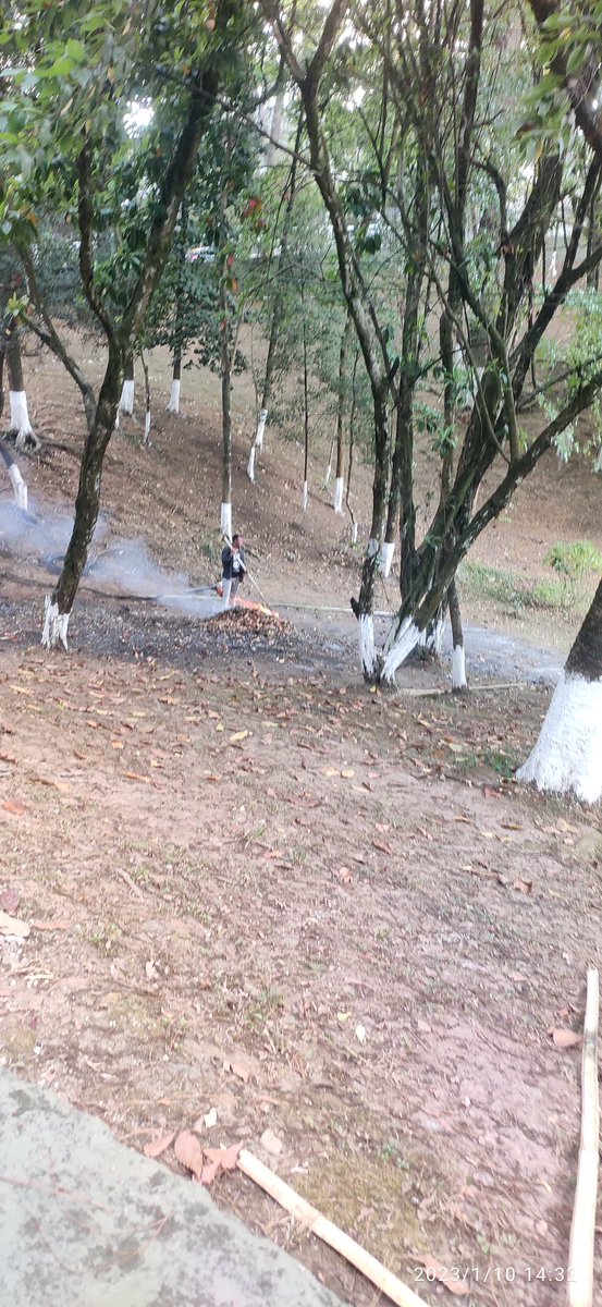 NamrattaTiwari's tweet image. Can we better utilise the leaf litter to make manure for the lovely trees at #Wards #Lake #Shillong, rather than polluting the #Secretariate Area, #Governor House. 
@CMO_Meghalaya