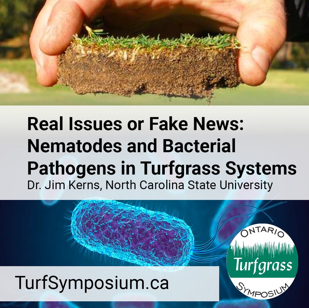 GuelphTurf's tweet photo. Nematodes and bacterial diseases can be rare in turf systems, but when they appear... be prepared! Dr. Jim Kerns from NC State University will be here in Guelph on Feb 22-23 to share his wisdom on these unique issues. #PlantPathology #Turfgrass #OTS2023
https://t.co/sqzzOte7qK https://t.co/xiPhtQxLiL