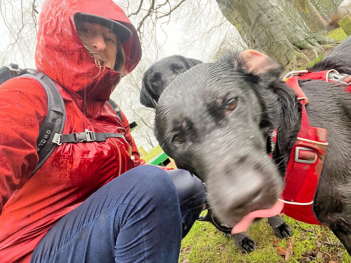 labradopted's tweet photo. We do not like the rain! #fact https://t.co/CoylmkNZrn